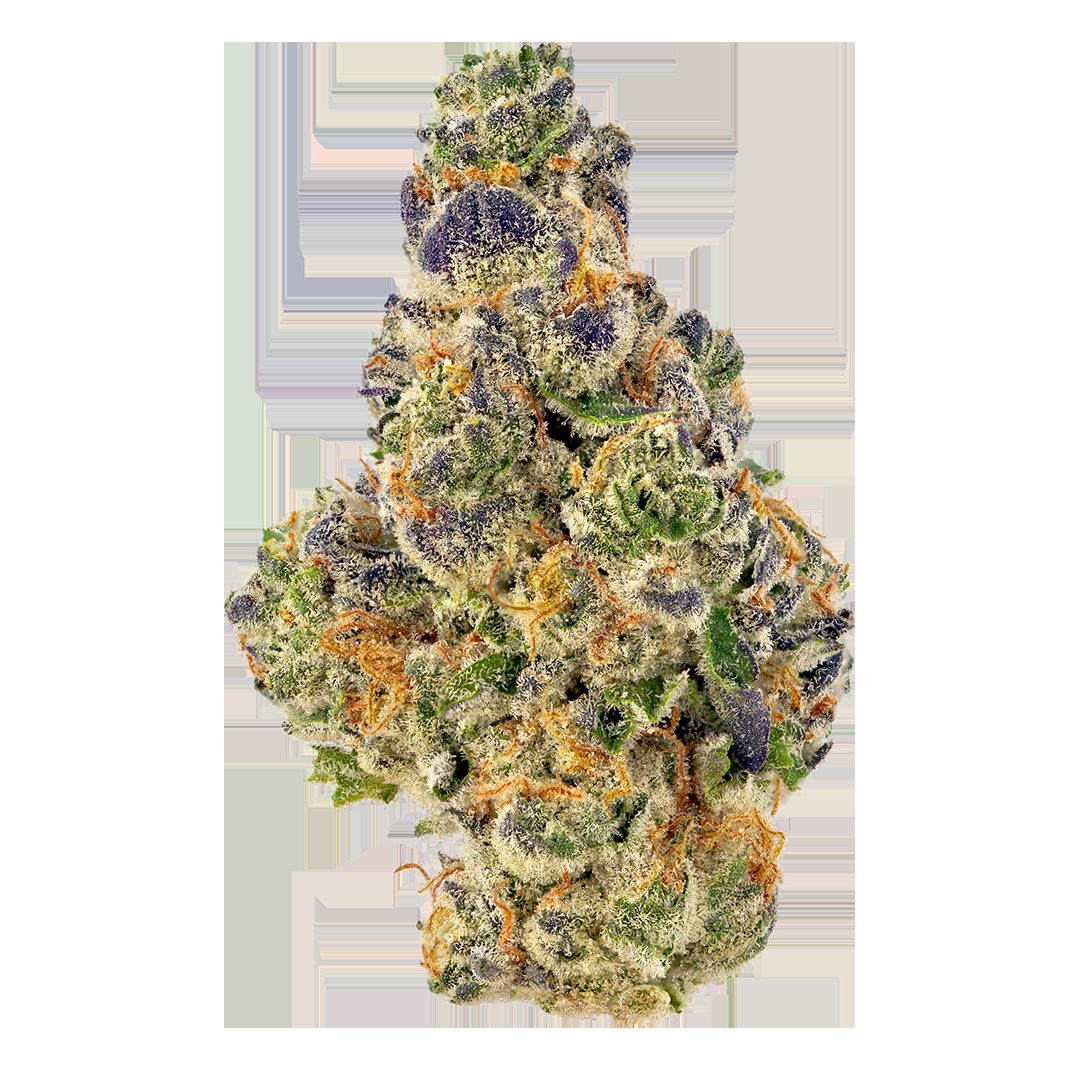 Confidential OG